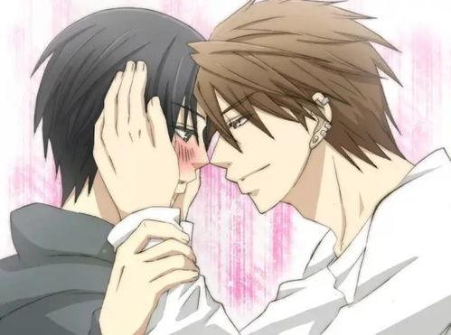 腐动漫,甜蜜与苦涩交织的青春恋曲