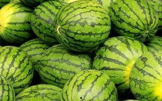 每日大赛 吃瓜入口,吃瓜入口，揭秘娱乐圈幕后风云